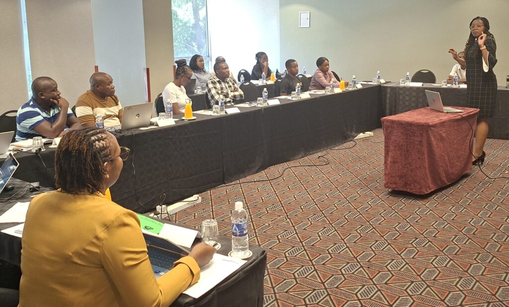 It's a meeting room in Zimbabwe. A woman stands speaking in front of a group of seated men and women. There's a laptop in front of her, suggesting she is presenting to them